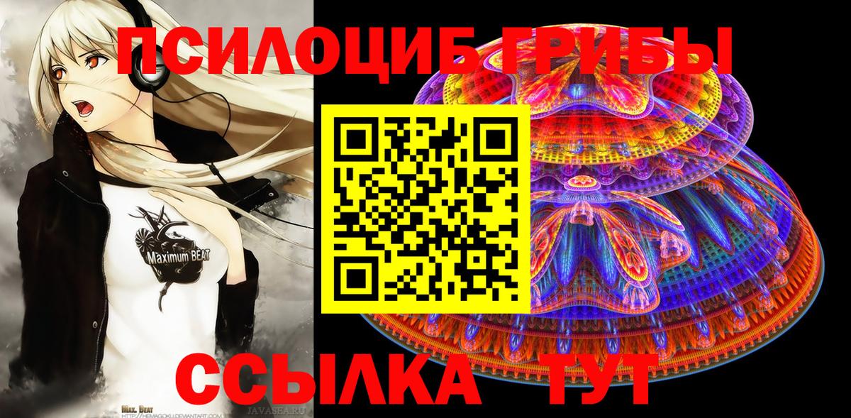 Галлюциногенные грибы GOLDEN TEACHER Славянск-на-Кубани