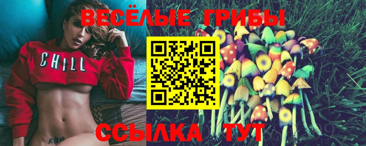 Славянск-на-Кубани  Галлюциногенные грибы мицелий  Вход с VPN 